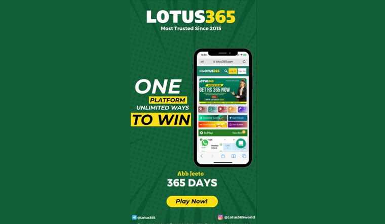 Lotus 365 Online Cricket Betting Platform