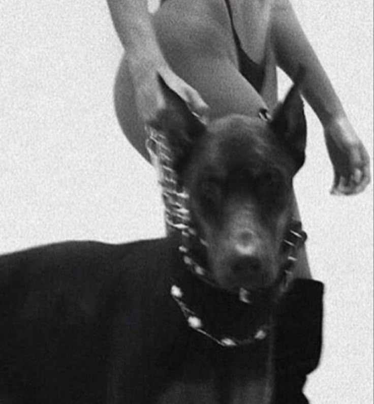 Raped by dog🔞🍆🥵