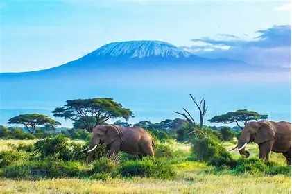 Why Mount Kilimanjaro Trekking Is an Unmatched Experience for All Climbers