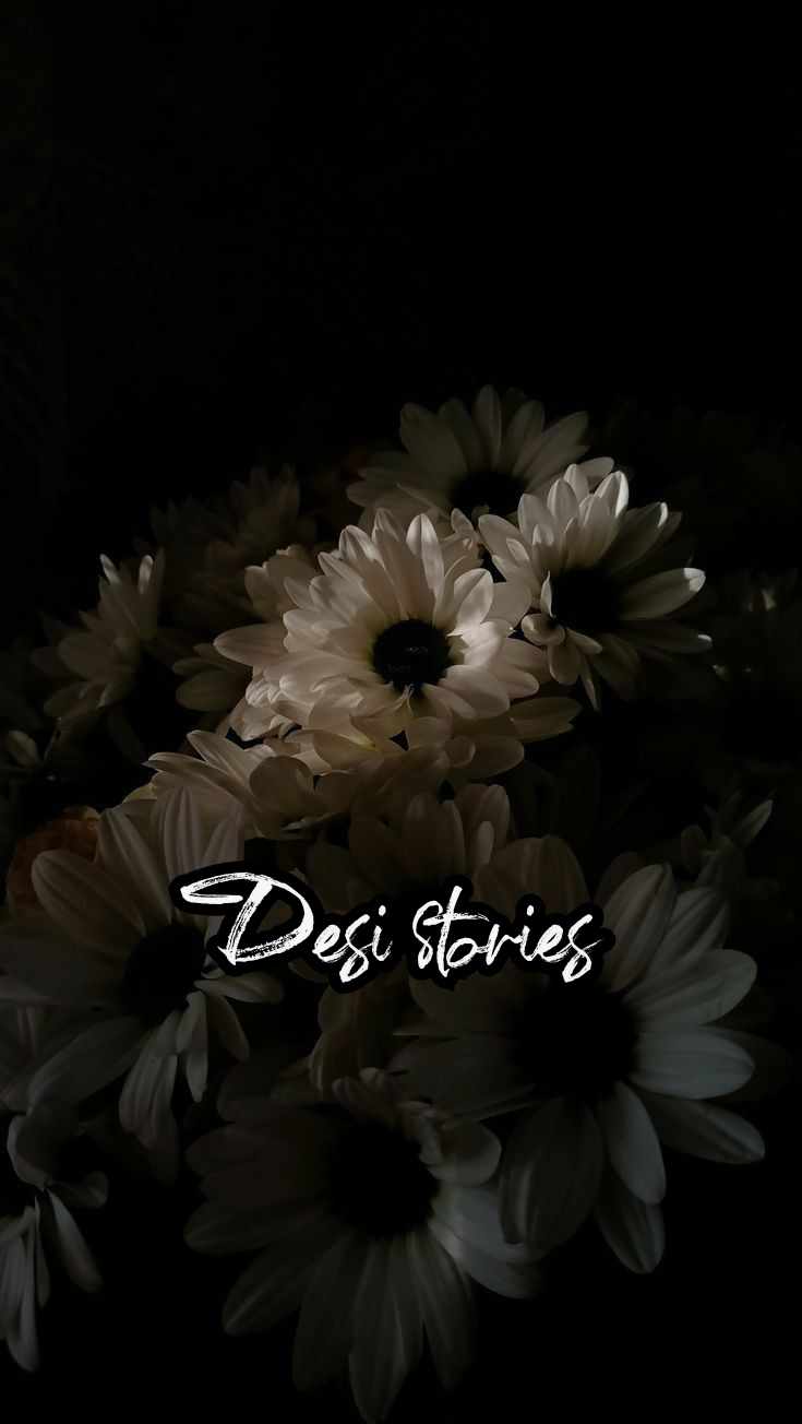 Desi Stories