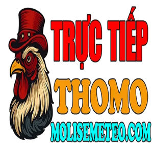 ĐÁ GÀ TRỰC TIẾP THOMO HÔM NAY