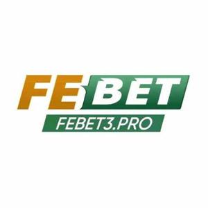febet3pro1