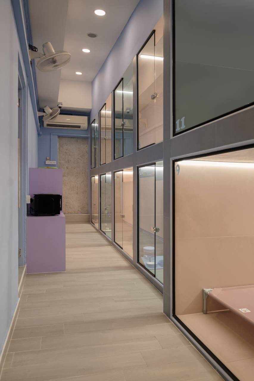 Amethyst Geode | Shubhanjalistore.com