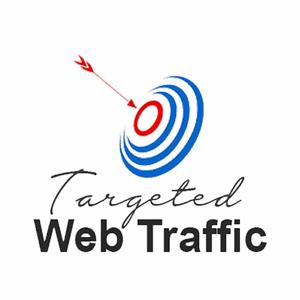 Targeted Web Traffic Services