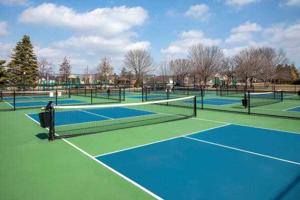 Panorama Padelbanen Voor Moderne Padelcomplexen