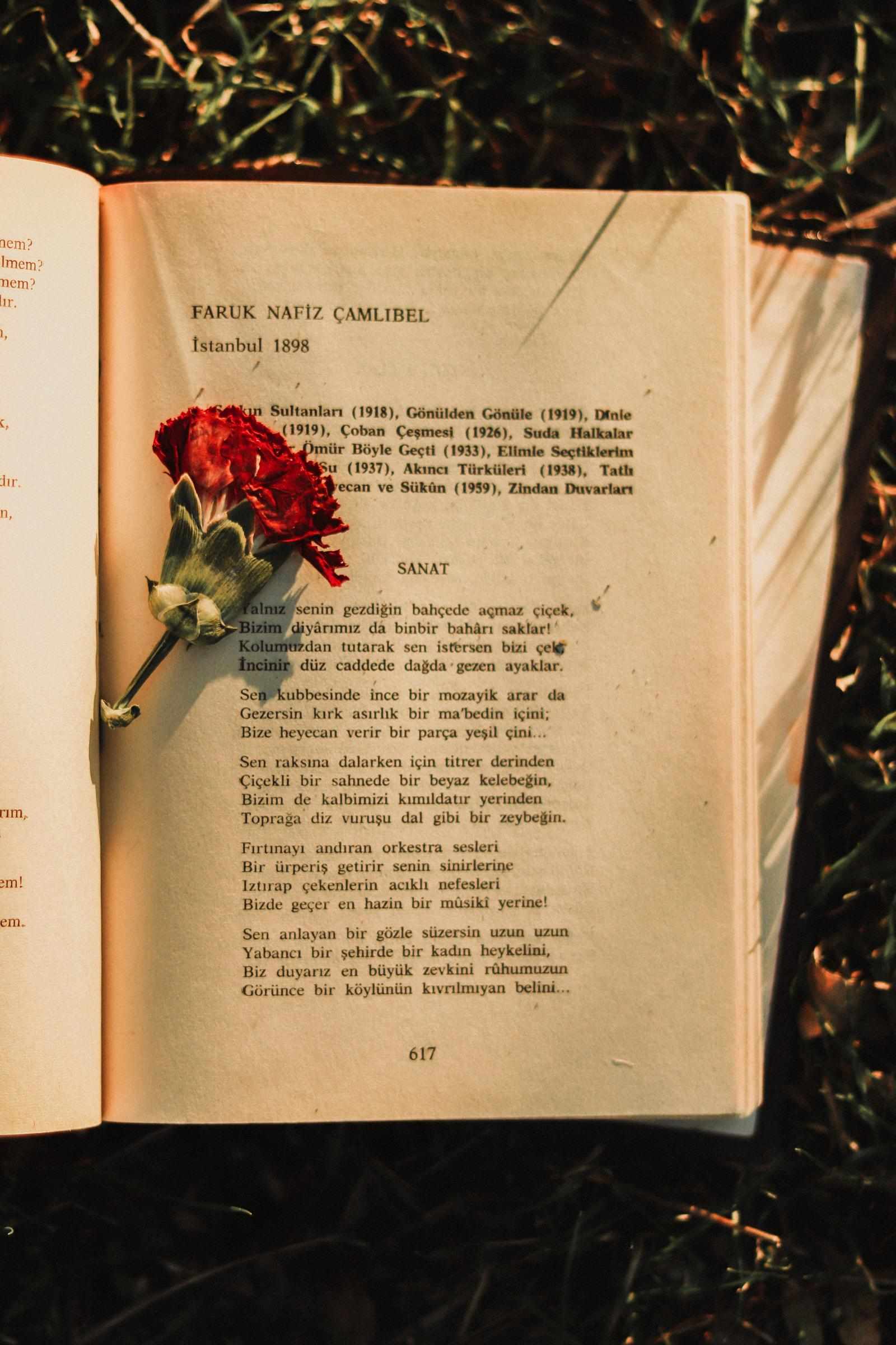 Crafting Compelling Novels: 20 Essential Tips for Successful Novel Writing