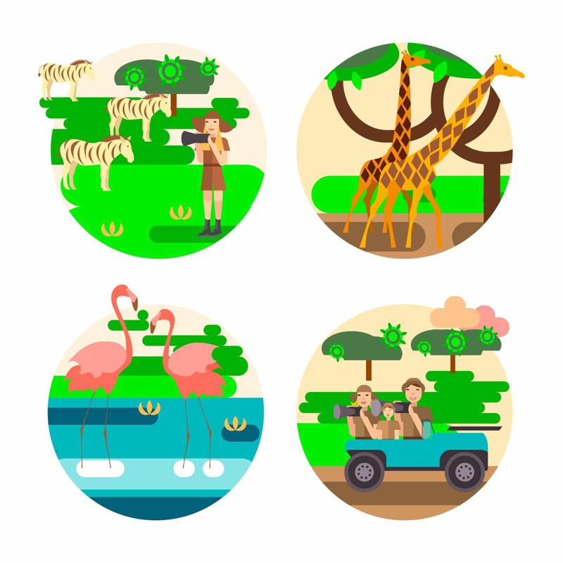 Top African Safari Countries:An Ultimate Guide