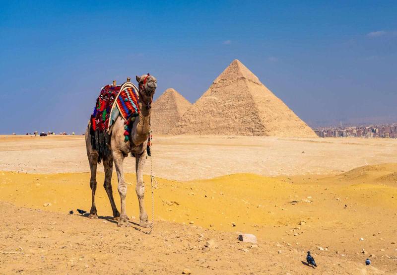 Egypt eVisa for Albanian Citizens