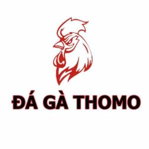 ĐÁ GÀ THOMO TRỰC TIẾP 🎖️ CAMPUCHIA HÔM NAY