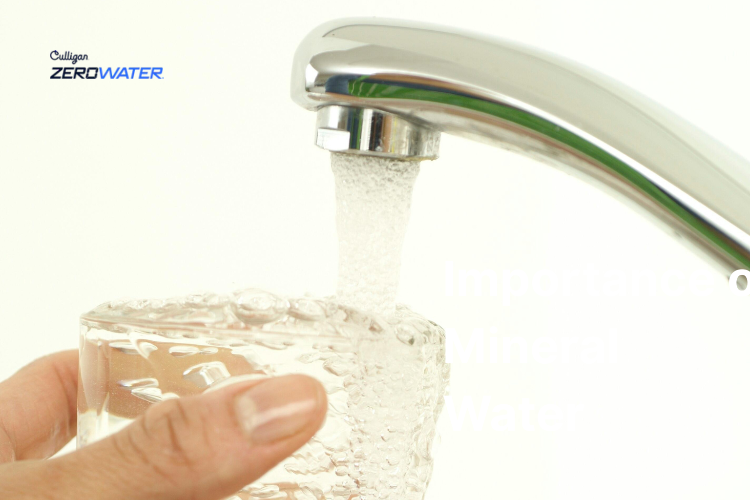 What is a Total Dissolved Solids Filter?