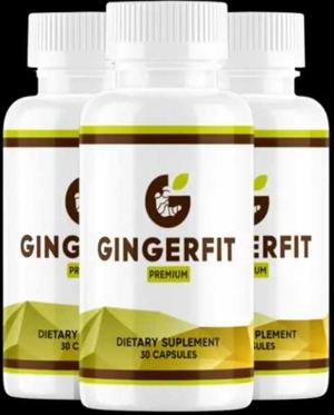 GingerFit logo
