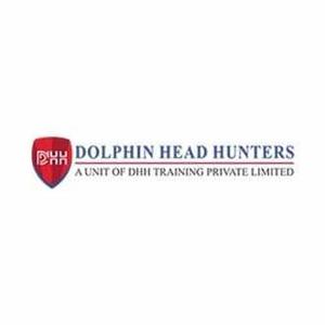 Dolphin Head Hunters logo
