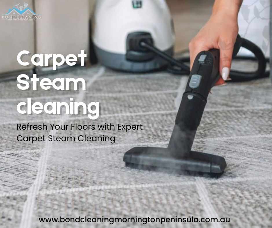 Eco-Friendly Carpet Steam Cleaning Solutions