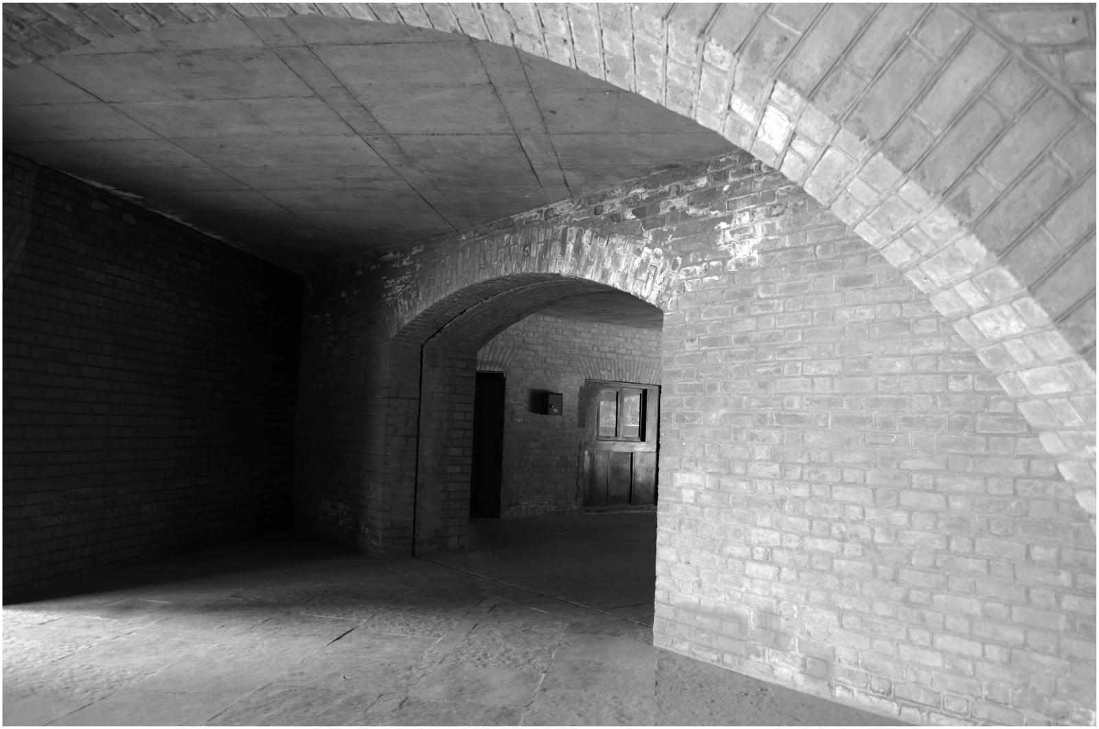 IIM Ahmedabad PGPX: The Year That Was!