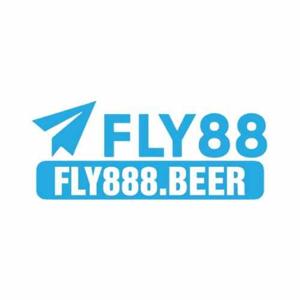 Fly888 beer