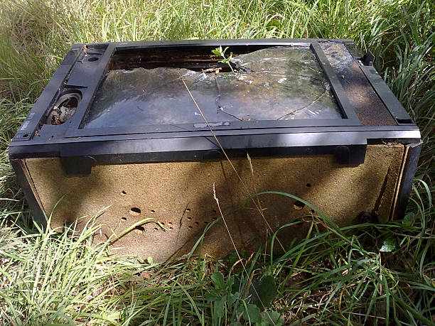 What Are the Signs My Septic Tank Needs Cleaning in Winchester, TN?
