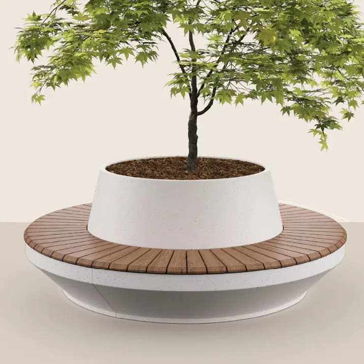 The Power of Nature Indoors: Exploring Biophilic Design Trends