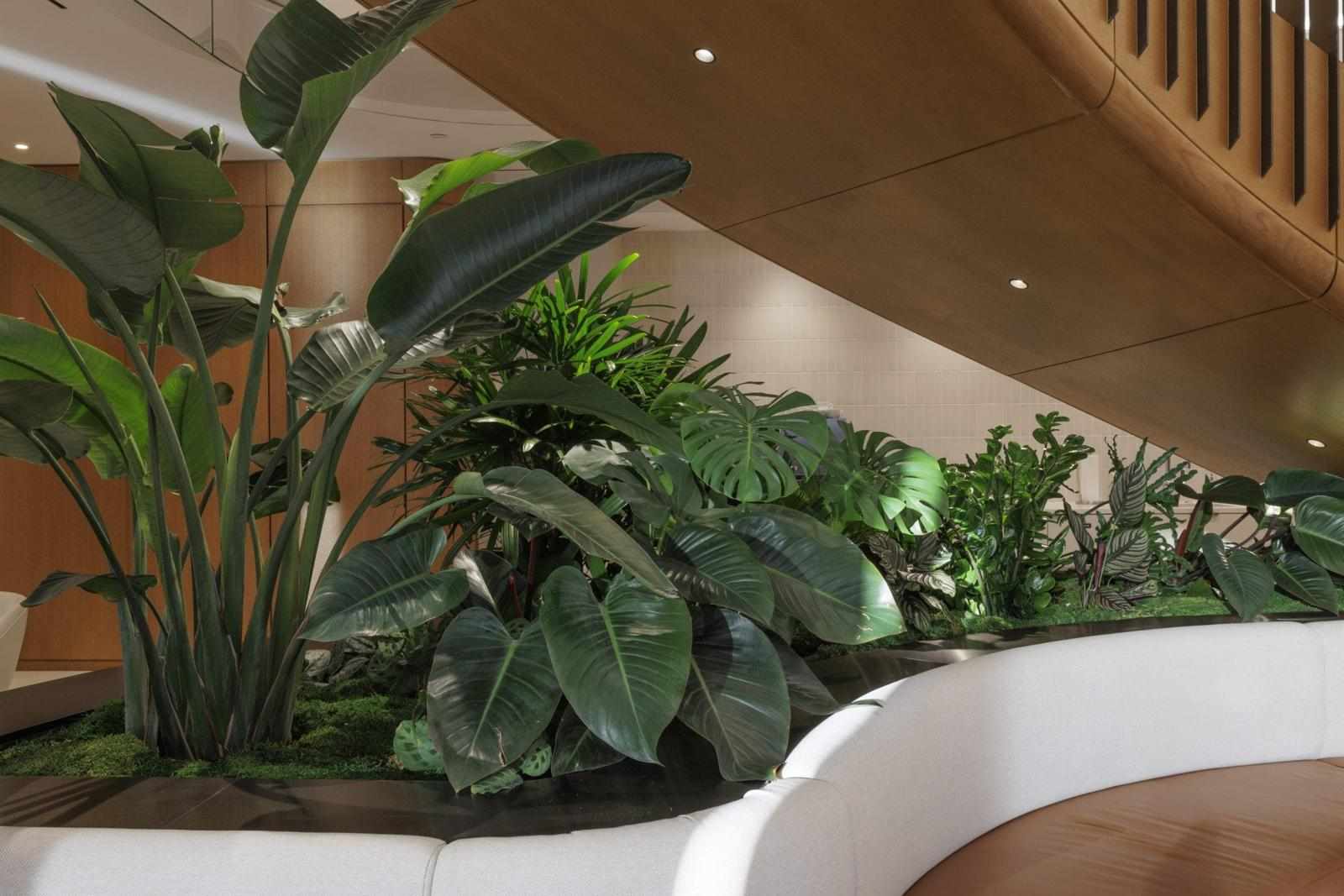 What Is Plantscaping and Why It Matters for Modern Interiors