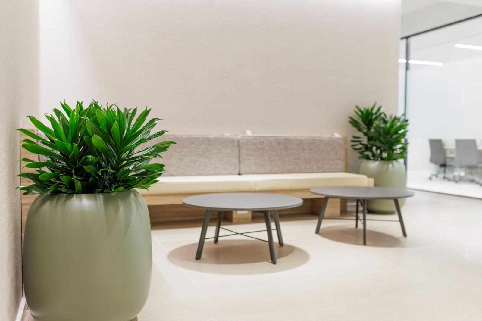 Bringing Nature to DC Offices: The Magic of Interior Plantscaping