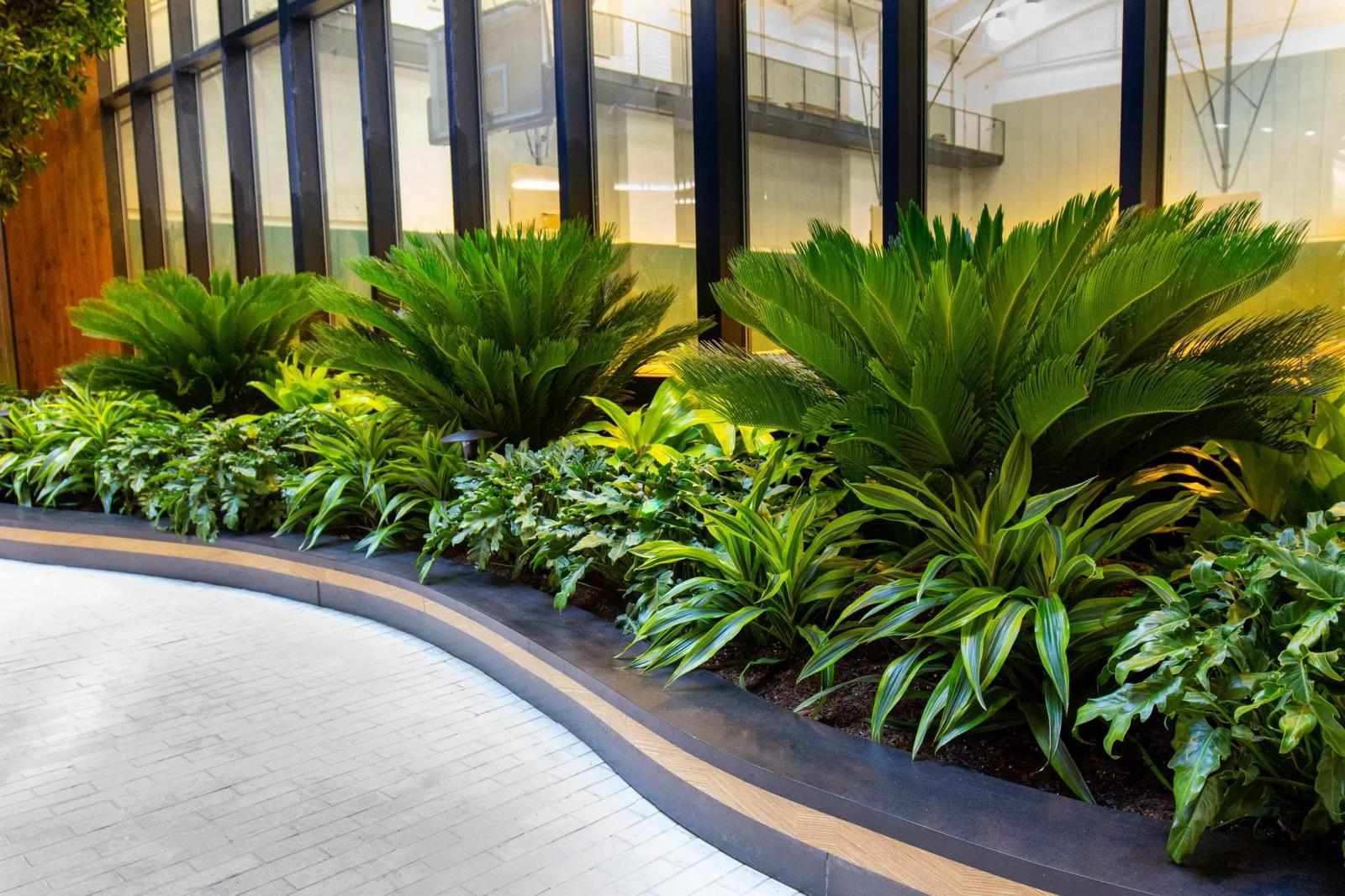 Interior Plant Service: Bringing Nature Indoors the Right Way