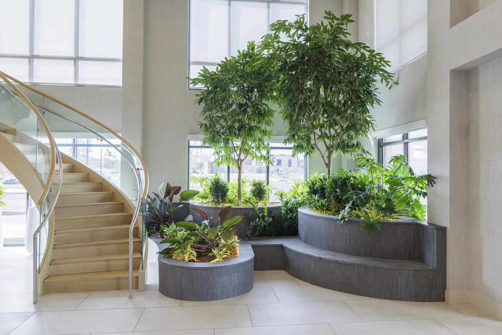 Benefits of Hiring a Professional Interior Plant Service
