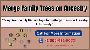 Merge Family Trees on Ancestry