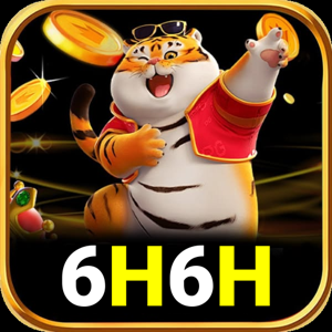 6h6h