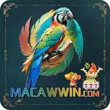 macawwin