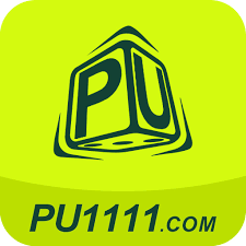 pu1111