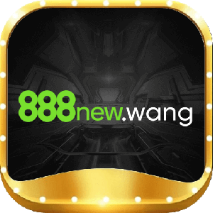 888newwang