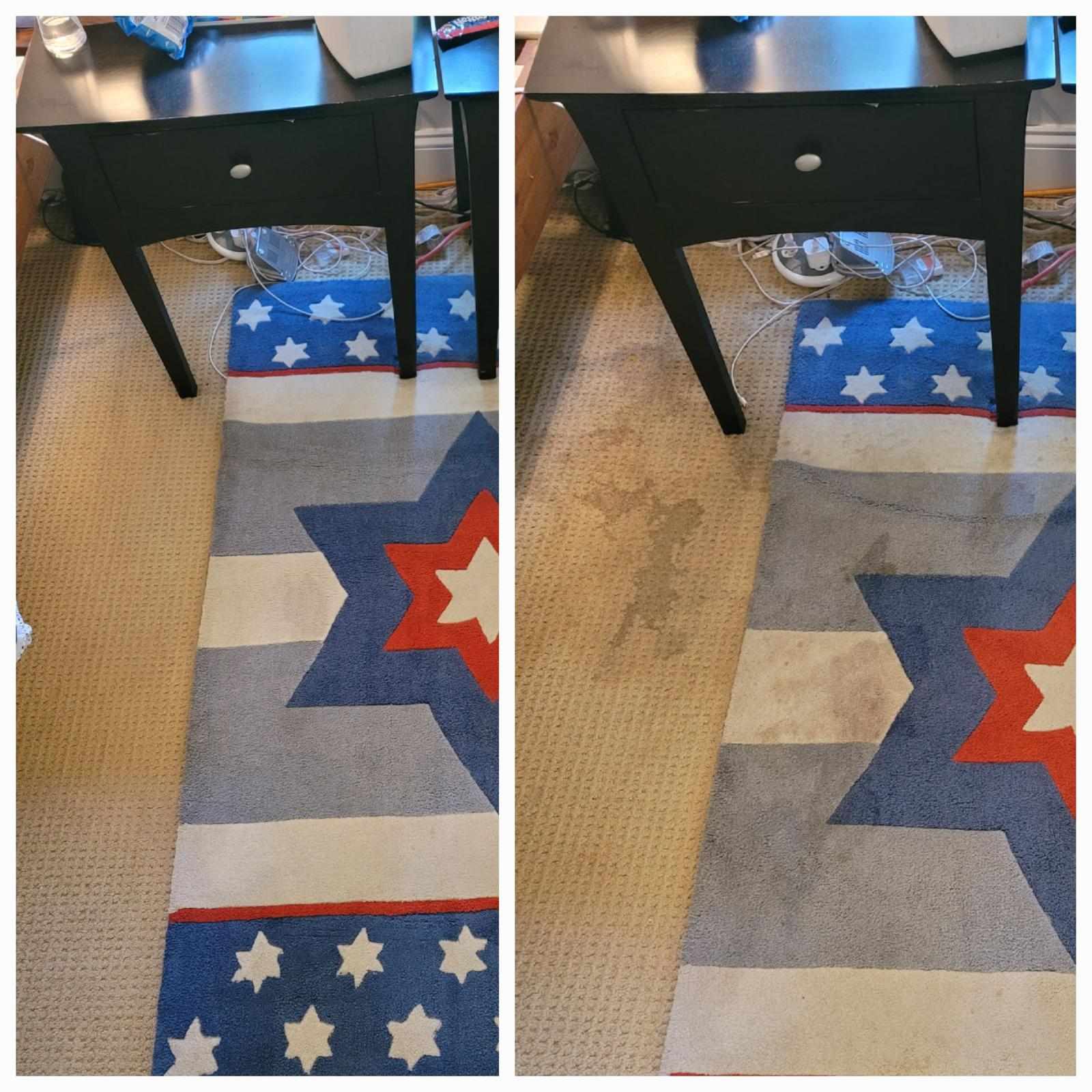 What Businesses Should Expect from Commercial Carpet Cleaning