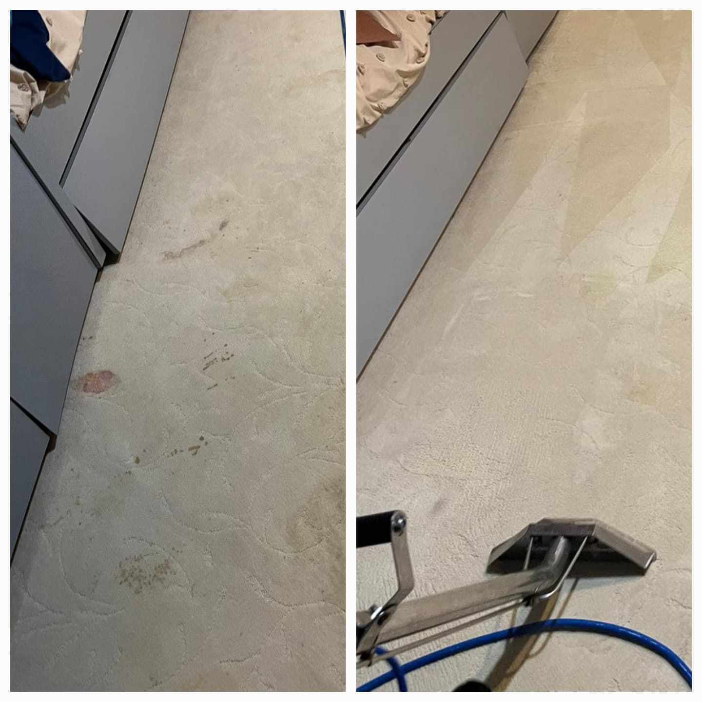 How Does Commercial Carpet Cleaning Help Rockville Businesses?