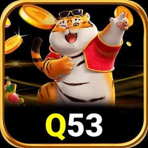 q53