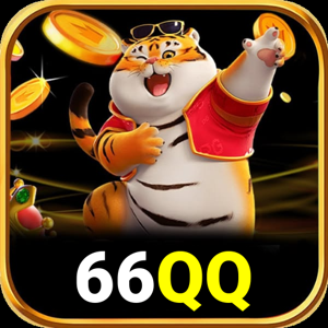 66qq