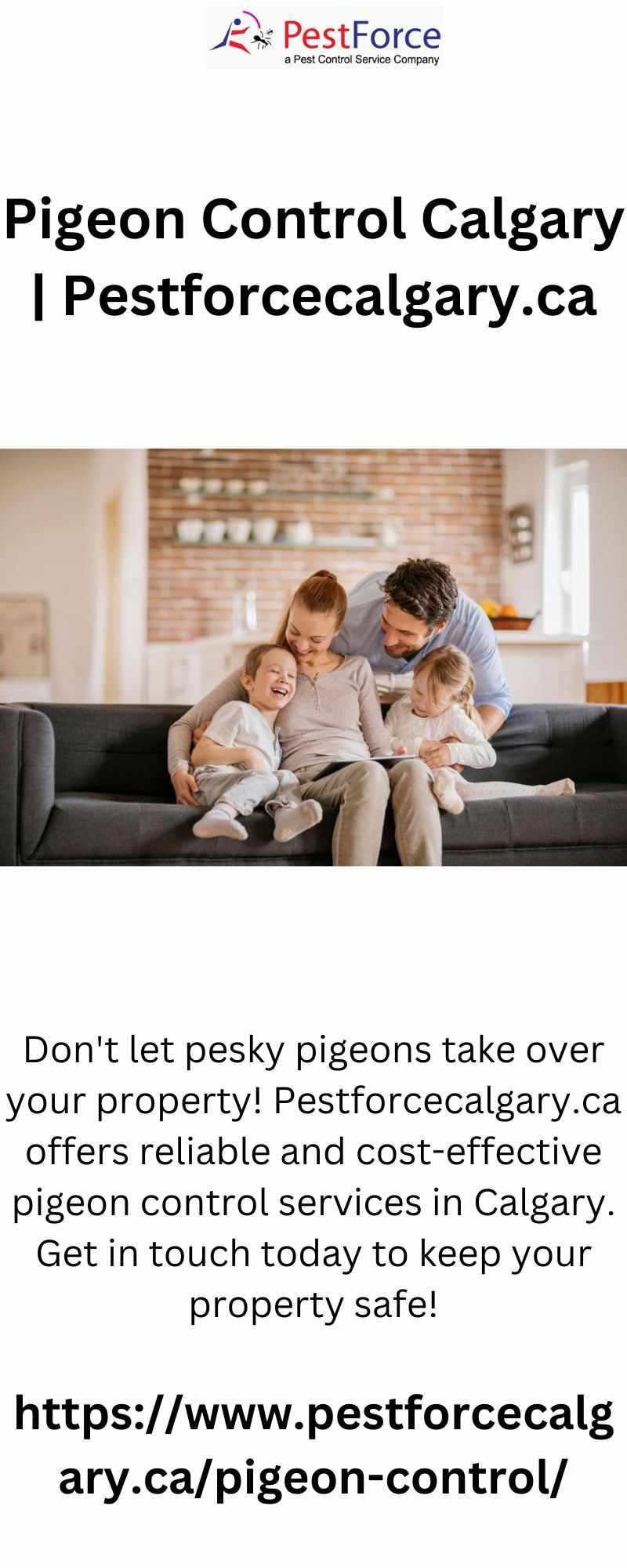 Pigeon Control Calgary | Pestforcecalgary.ca