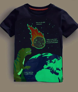 Miniberni: Where Style Meets Smiles!