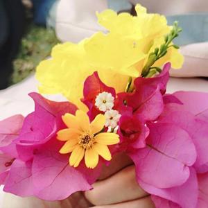 Mantasha Shaikh logo