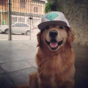 notforyoutoknow logo