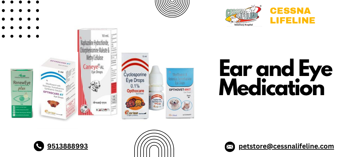 Smart Healing: The Latest Innovations in Ear and Eye Medication for 2025