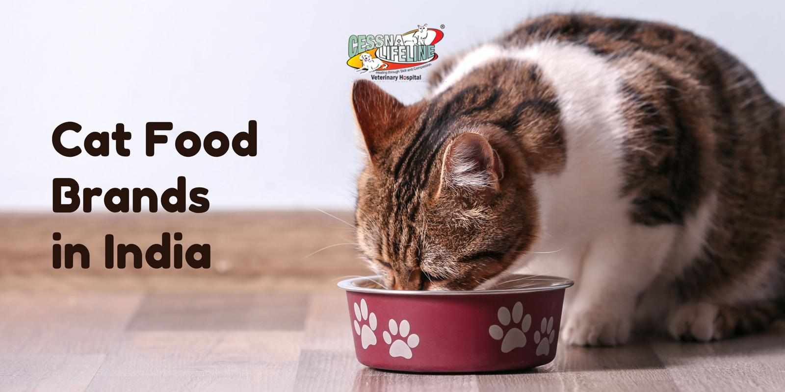 Top Cat Food Trends Every Pet Parent Should Know