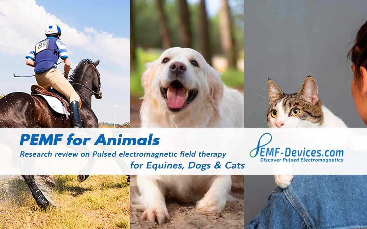 PEMF for Animals - Equines, Dogs and Cats - Research Review