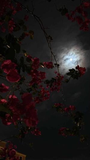 @author_mooncrown logo