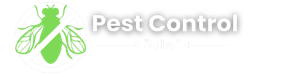 Professional Termite Control for Home and Office in Dubai