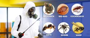 Pest Control logo