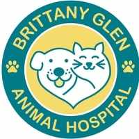 Emergency Vet Mississauga: What Pet Owners Need to Know When Every Minute Counts