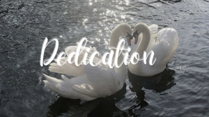 โฐโโค ๐ เฃช ึดึถึธ ๐๐๐๐๐๐๐๐๐๐ ึดึถึธ เฃช ๐ โคโโฏ