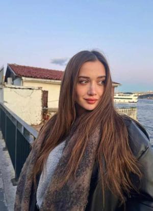 𝐀𝐚𝐫𝐚𝐧𝐢 logo