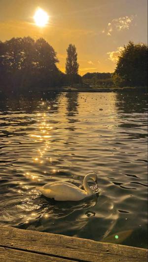 Chapter 2 - The unveiling