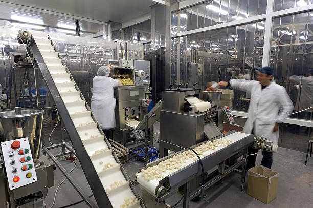 Action photograph of a production line in a food factory Automated production line in modern food factory. Ravioli production. People working. scada for food production stock pictures, royalty-free photos & images