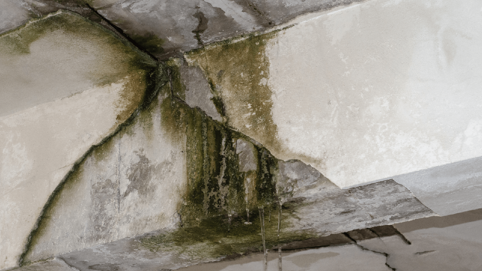 Signs You Have Hidden Water Damage (Even If You Can’t See It)